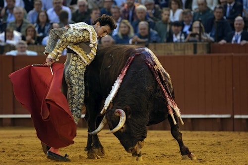Toros en Sevilla, en directo: sigue la corrida del Domingo de Resurrección con Morante, Roca Rey y David de Miranda