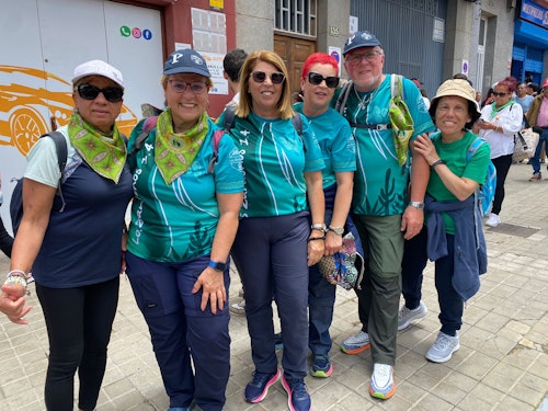 La Bajada de la Virgen del Pino: concluye el recorrido, la patrona ya está dentro de la catedral