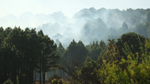 Incendio en El Hierro, en directo: el fuego ya se da por controlado