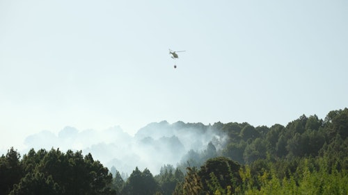 Incendio en El Hierro, en directo: el fuego ya se da por controlado
