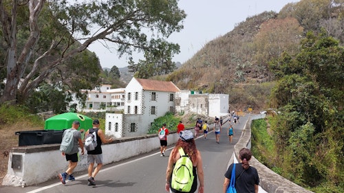 Fiestas del Pino 2025 en directo: romería, cómo llegar y última hora de Teror