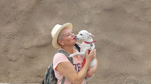 Fiestas del Pino 2025 en directo: romería, cómo llegar y última hora de Teror