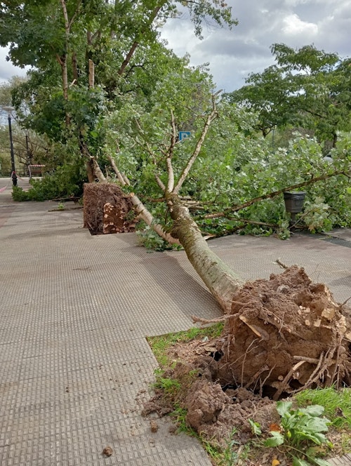 En directo, las consecuencias del paso de &#039;Kirk&#039; por Bizkaia: finalizan las alertas naranjas y los avisos amarillos por viento