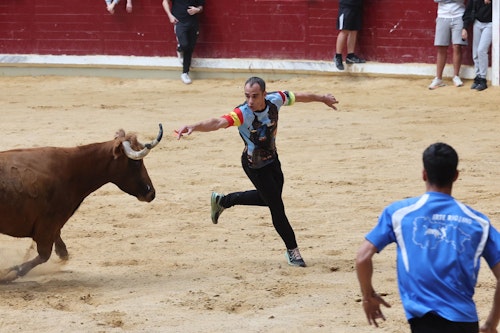 Logroño disfruta del último día de fiestas