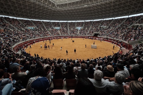 En directo: fiestas de san Mateo de Logroño