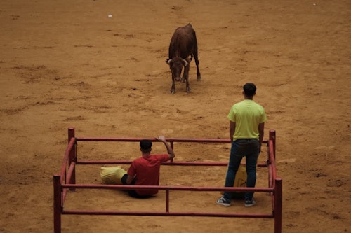 En directo: fiestas de san Mateo de Logroño