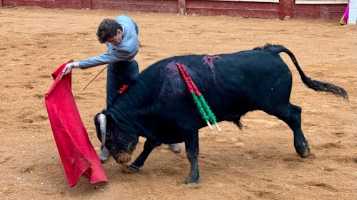 Así ha sido el festejo del Bolsín Taurino y el rejoneador Víctor Herrero