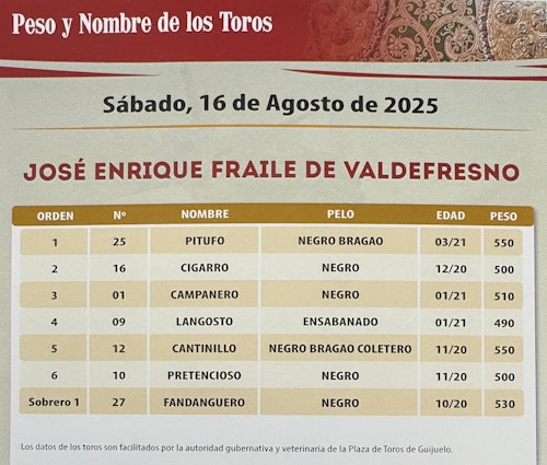 Damián Castaño e Ismael Martín, a hombros en Guijuelo