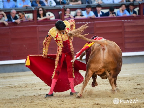 Así te hemos contado la histórica encerrona de Marco Pérez en Las Ventas