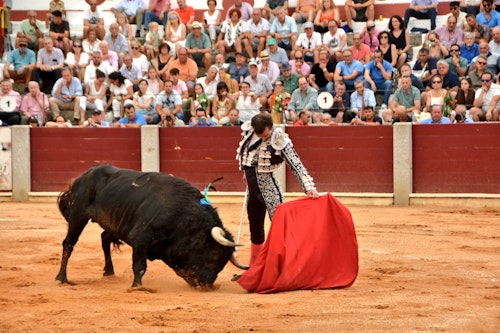 Así te contamos la novillada de Guijuelo