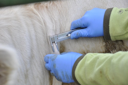 Consulta todas las noticias de este miércoles 15 de mayo en Salamanca