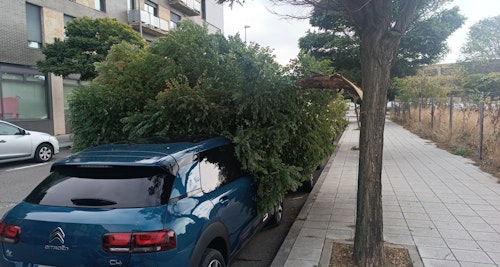Las consecuencias del huracán Kirk en Salamanca en directo