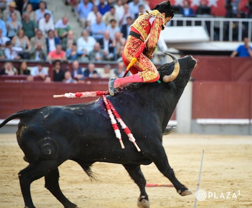 Así te hemos contado la histórica encerrona de Marco Pérez en Las Ventas