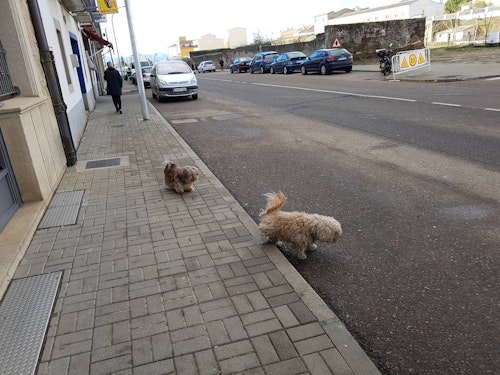 Consulta todas las noticias de este miércoles 15 de mayo en Salamanca
