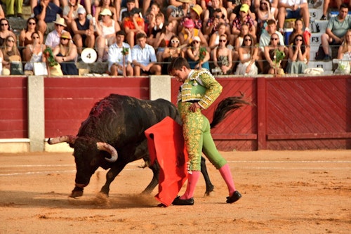 Damián Castaño e Ismael Martín, a hombros en Guijuelo