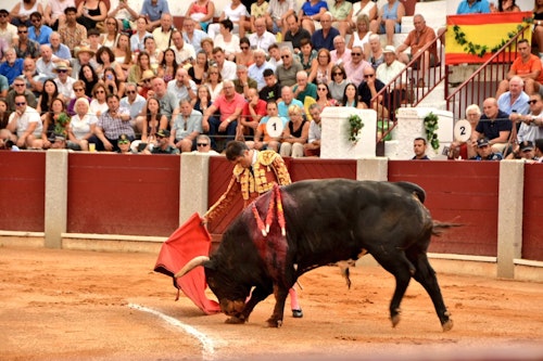 Damián Castaño e Ismael Martín, a hombros en Guijuelo