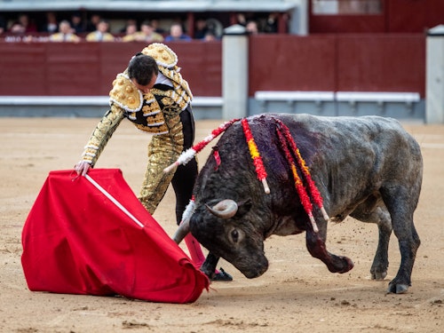 Así te hemos contado la actuación de Damián Castaño en Las Ventas