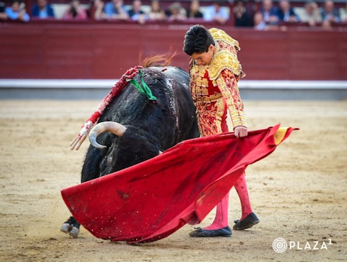 Así te hemos contado la histórica encerrona de Marco Pérez en Las Ventas