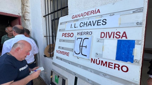 Así te hemos contado la novillada con picadores del Corpus de Ledesma