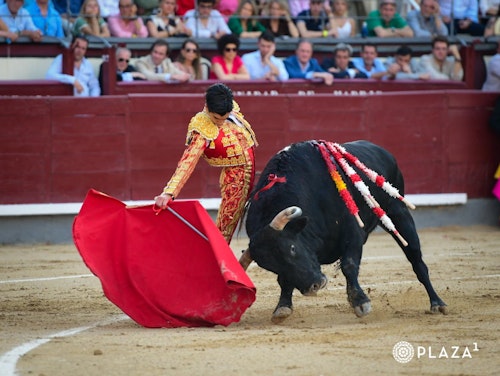 Así te hemos contado la histórica encerrona de Marco Pérez en Las Ventas
