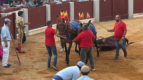 Final del festejo: el último festín de El Capea