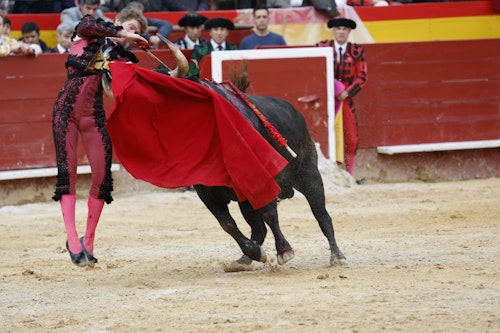 Así hemos contado el último día de las Fallas 2025