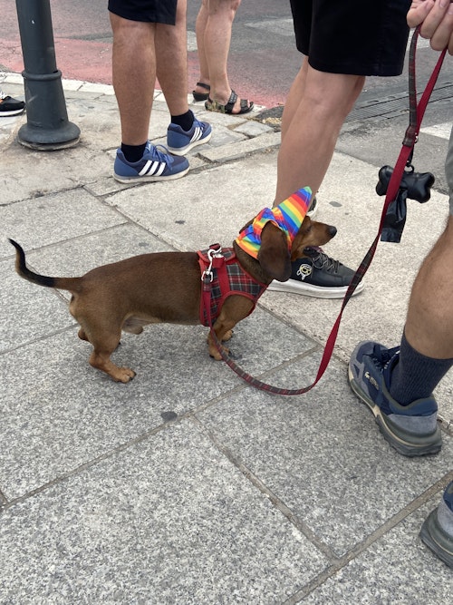 DIRECTO | Así te hemos contado la manifestación del Orgullo 2025 en Valencia