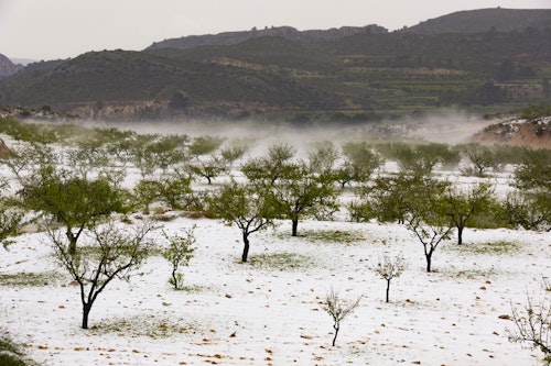 Directo | Temporal de lluvias y granizo en la Región de Murcia