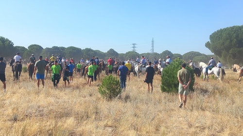 Así te hemos contado en directo el Toro de la Vega