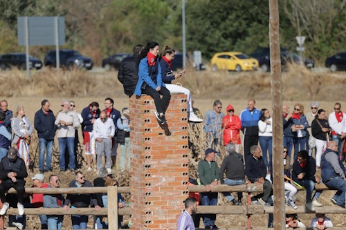 Así hemos narrado el Toro de la Vega 2024 en directo