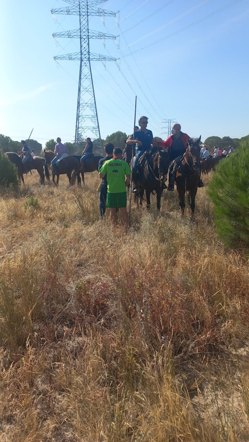 Así te hemos contado en directo el Toro de la Vega