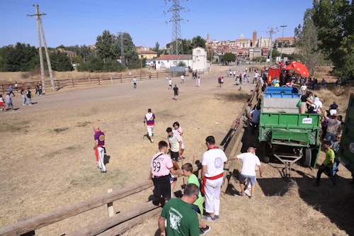 Así te hemos contado en directo el Toro de la Vega