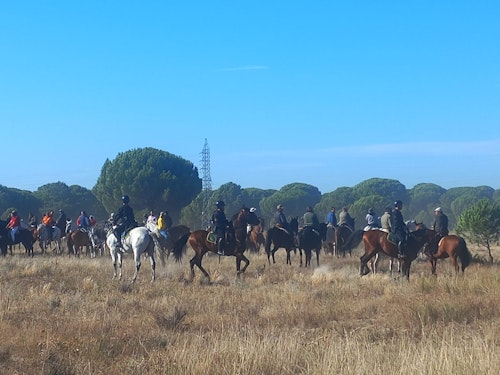 Así hemos narrado el Toro de la Vega 2024 en directo