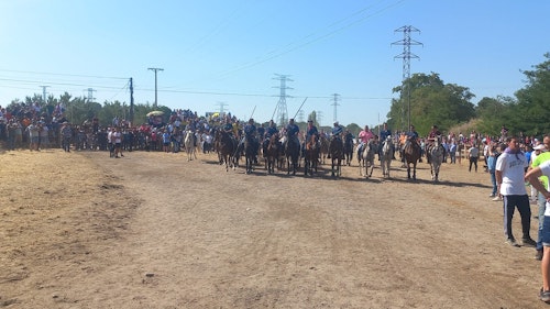 Así te hemos contado en directo el Toro de la Vega