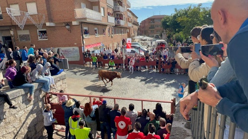 Así hemos narrado el Toro de la Vega 2024 en directo