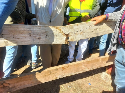 Así hemos narrado el Toro de la Vega 2024 en directo