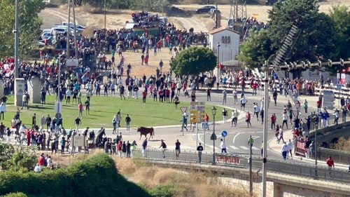 Así hemos narrado el Toro de la Vega 2024 en directo