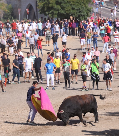 Así te hemos contado en directo el Toro de la Vega