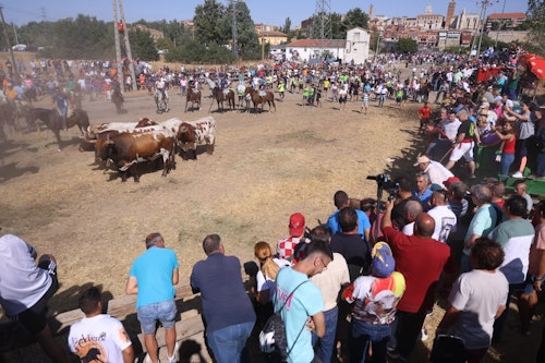 Así te hemos contado en directo el Toro de la Vega