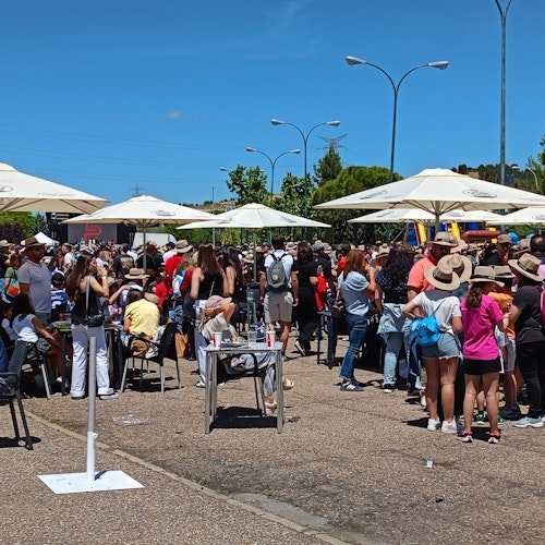 El VRAC se levanta con su mejor versión y conquista la Copa del Rey