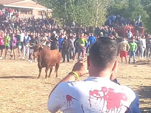 Así hemos narrado el Toro de la Vega 2024 en directo