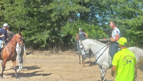 Así te hemos contado en directo el Toro de la Vega