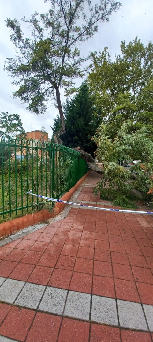 Así te hemos contado el paso del huracán Kirk por Castilla y León