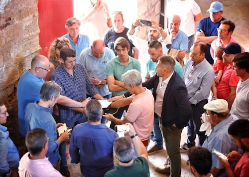Así hemos narrado el regreso de los toros a Cáceres
