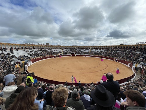 Así hemos narrado la novillada de este domingo de la feria de Olivenza