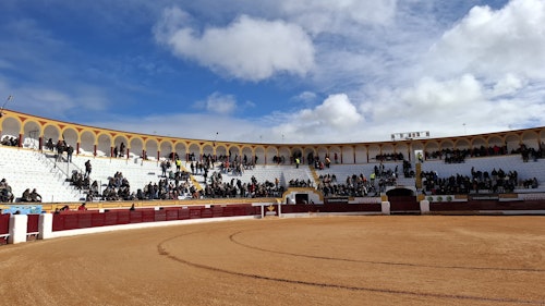 Así hemos narrado la novillada de este domingo de la feria de Olivenza