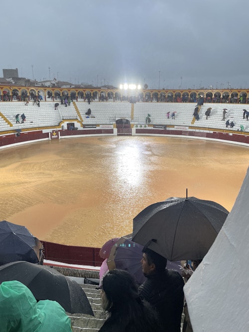 Así hemos narrado en directo el primer festejo de la feria de Olivenza