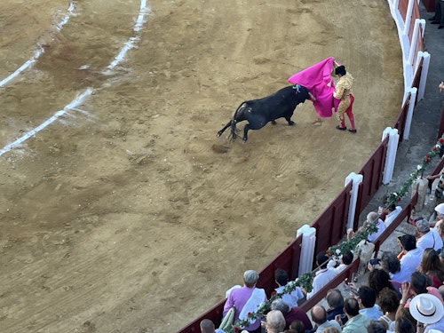 Así hemos narrado el regreso de los toros a Cáceres
