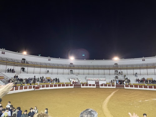 Así hemos narrado la novillada de Mérida