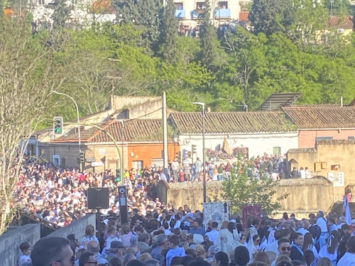 Así hemos narrado la bajada de la Virgen de la Montaña a la ciudad